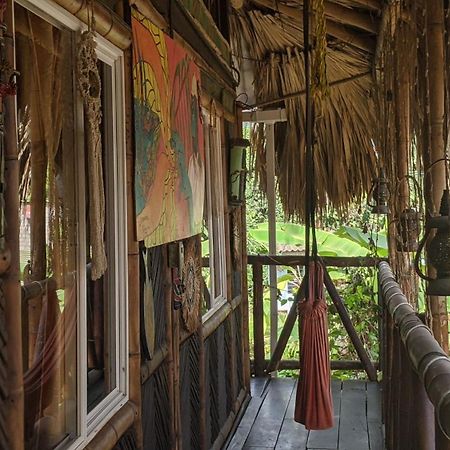 La Natura Hostel & Pool 帕洛米诺 外观 照片