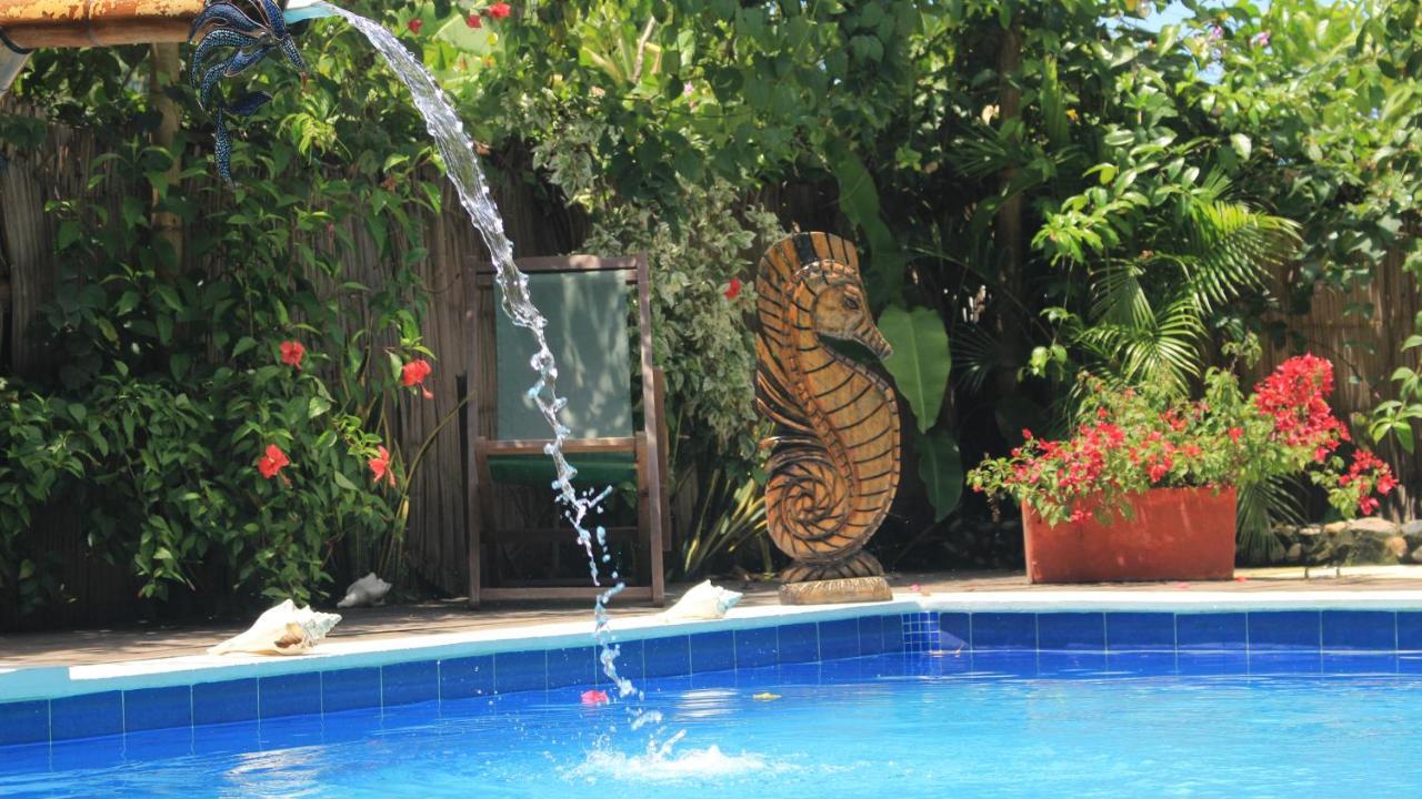 La Natura Hostel & Pool 帕洛米诺 外观 照片