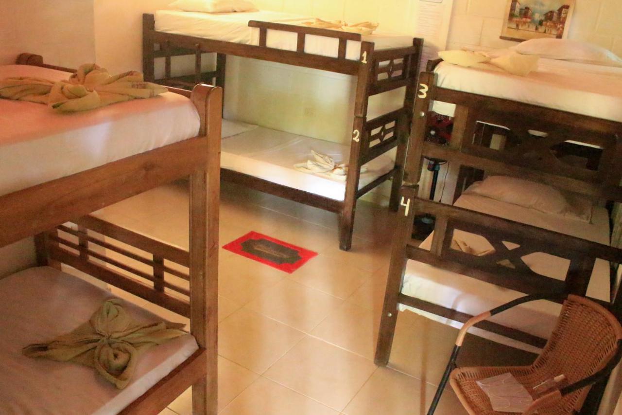 La Natura Hostel & Pool 帕洛米诺 外观 照片