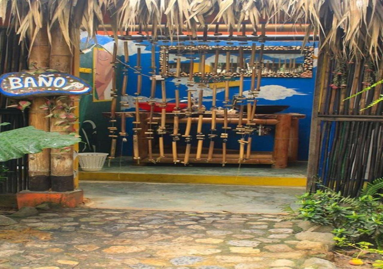 La Natura Hostel & Pool 帕洛米诺 外观 照片
