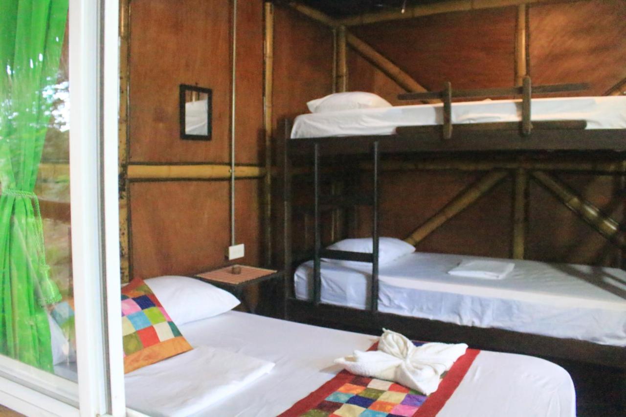 La Natura Hostel & Pool 帕洛米诺 外观 照片