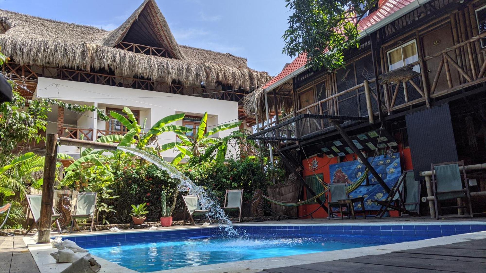 La Natura Hostel & Pool 帕洛米诺 外观 照片