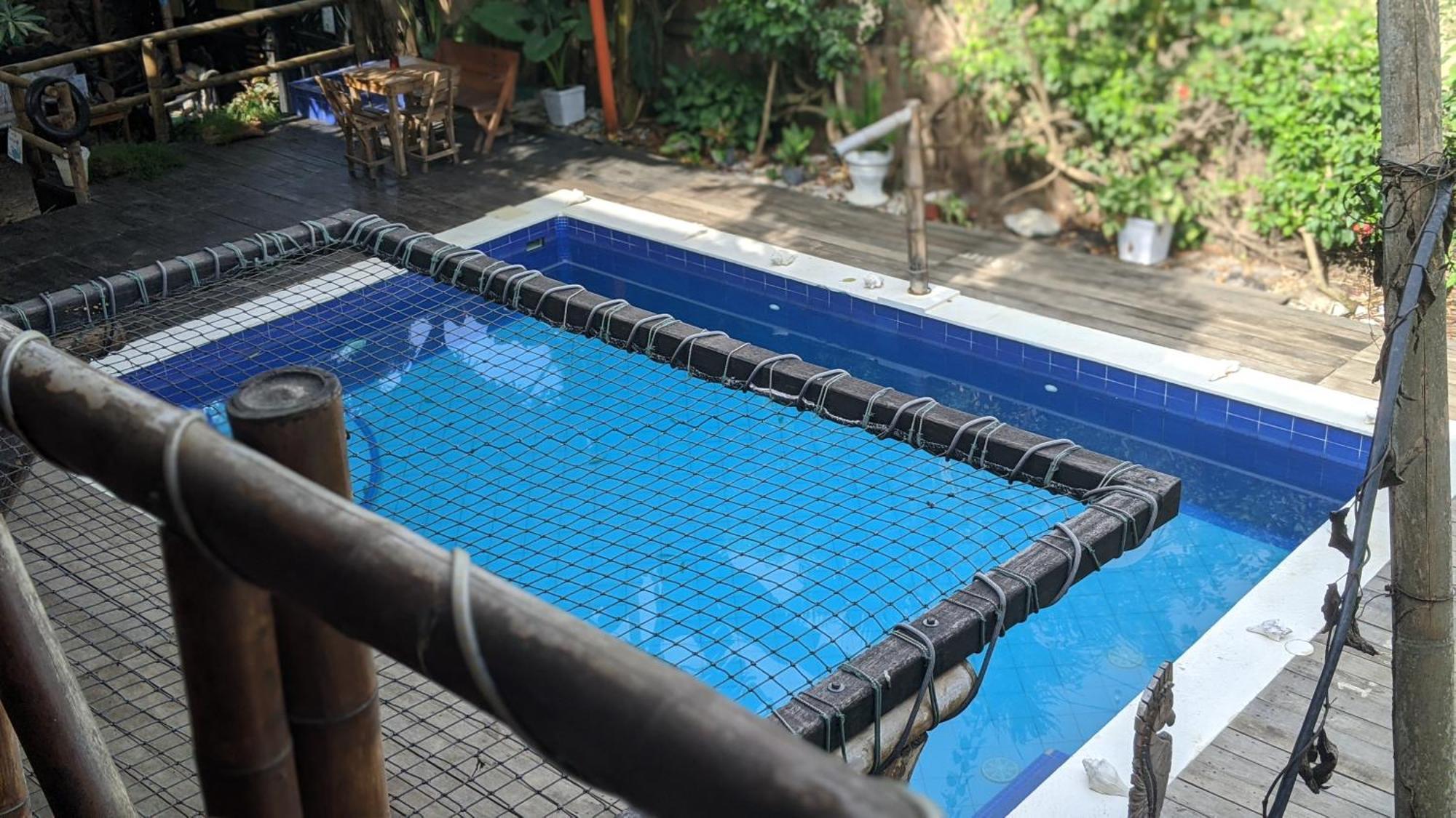 La Natura Hostel & Pool 帕洛米诺 外观 照片