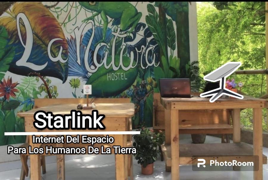 La Natura Hostel & Pool 帕洛米诺 外观 照片