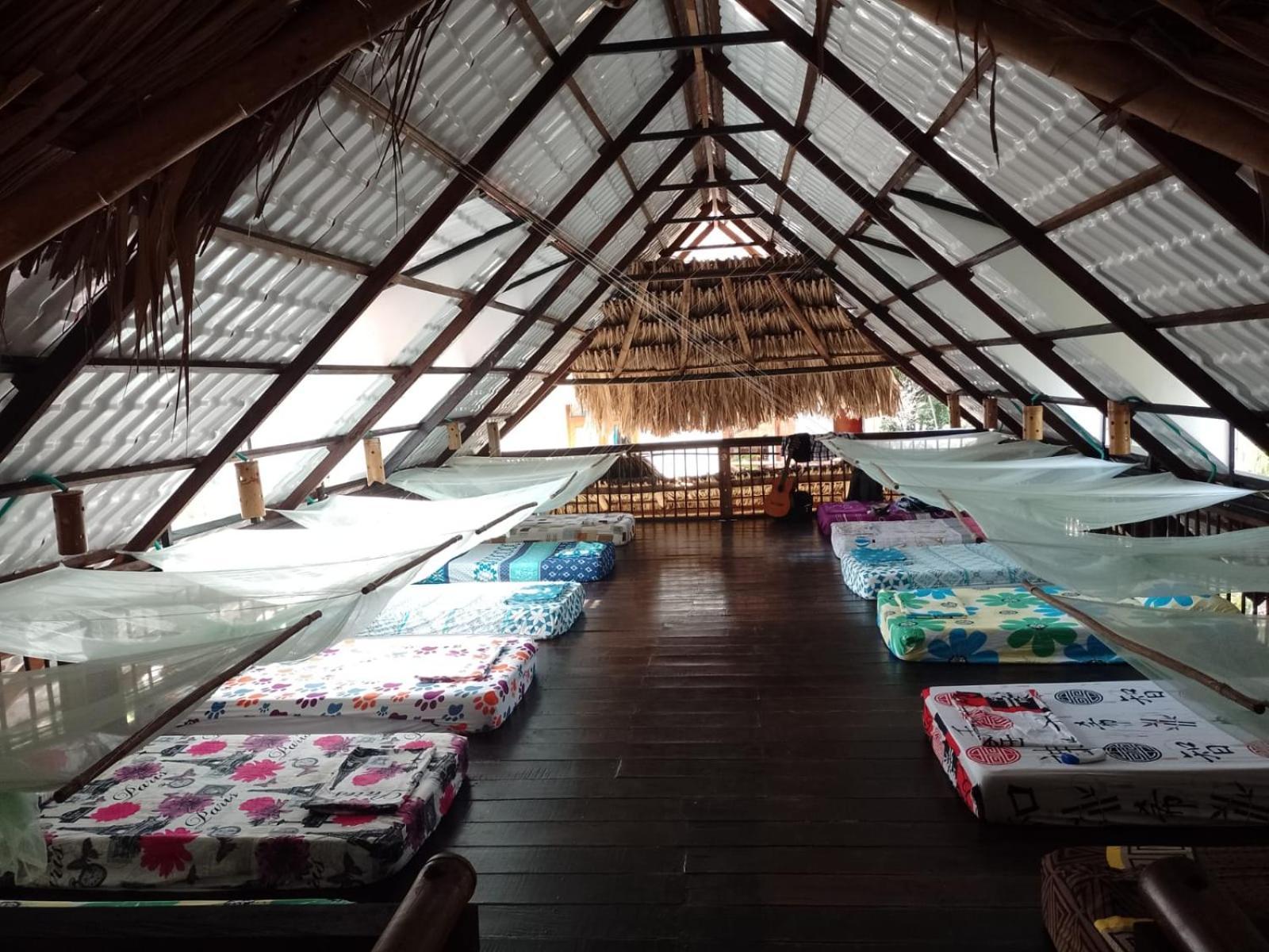La Natura Hostel & Pool 帕洛米诺 外观 照片