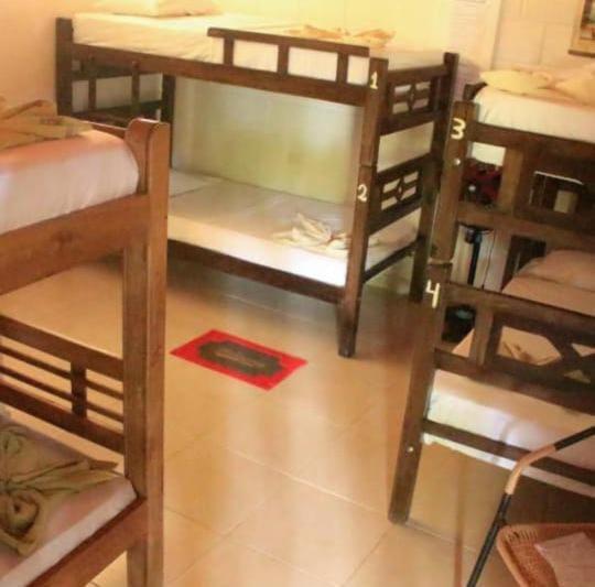 La Natura Hostel & Pool 帕洛米诺 外观 照片