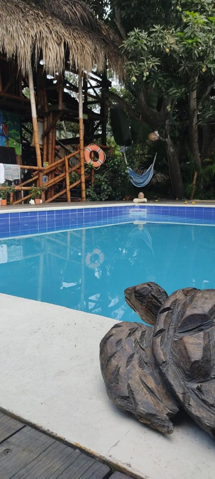 La Natura Hostel & Pool 帕洛米诺 外观 照片