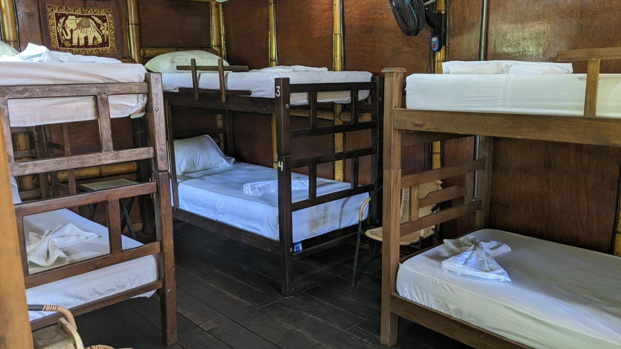 La Natura Hostel & Pool 帕洛米诺 外观 照片