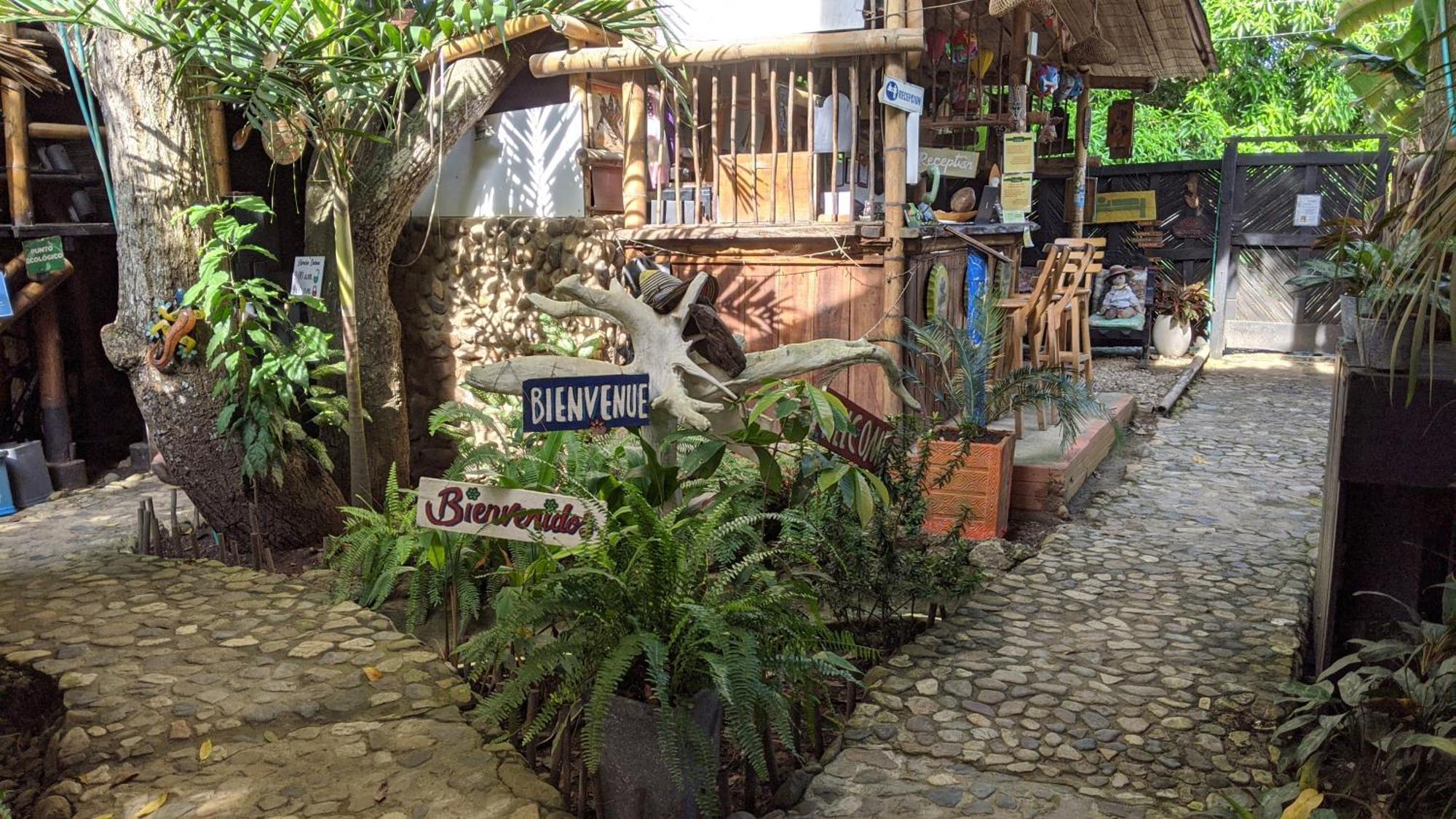 La Natura Hostel & Pool 帕洛米诺 外观 照片