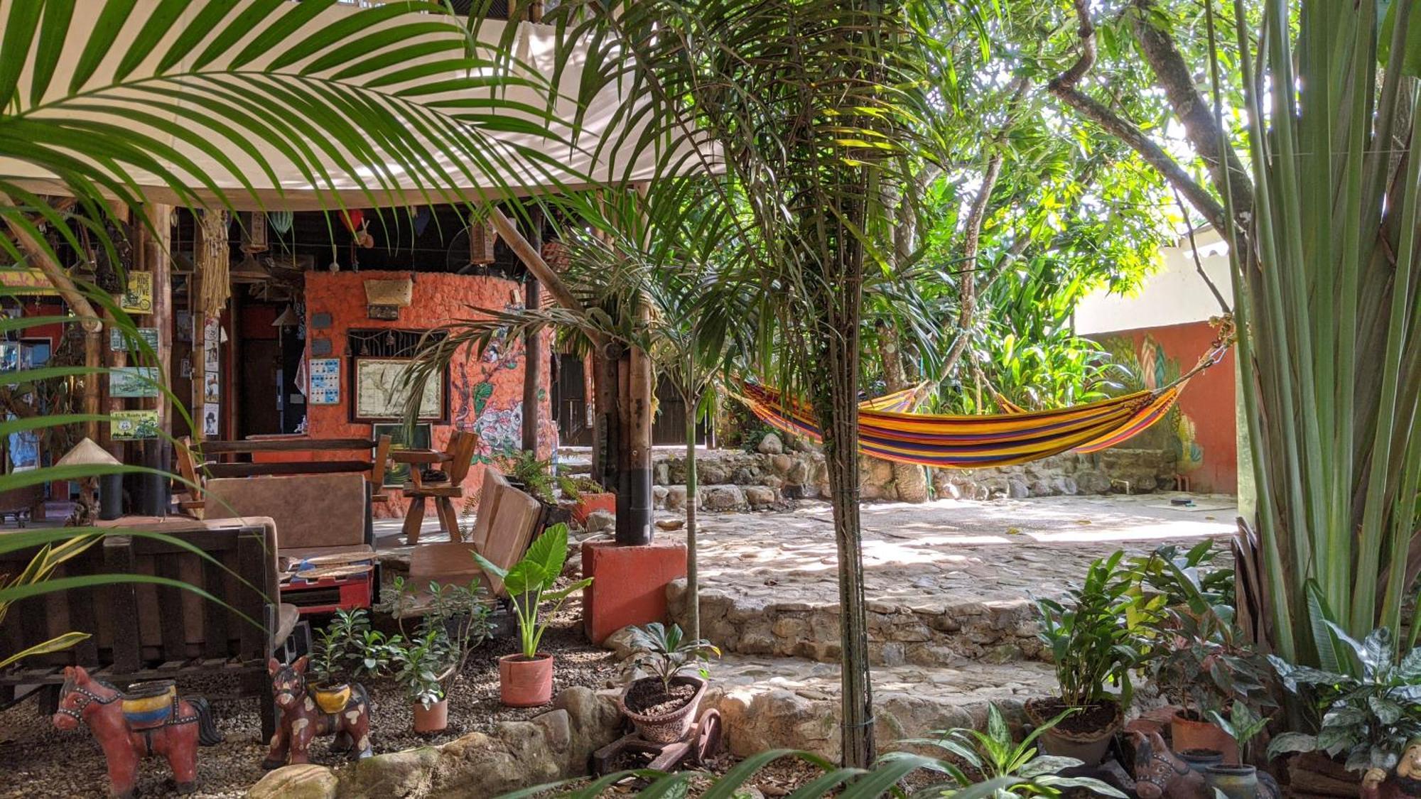 La Natura Hostel & Pool 帕洛米诺 外观 照片