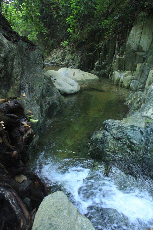 La Natura Hostel & Pool 帕洛米诺 外观 照片