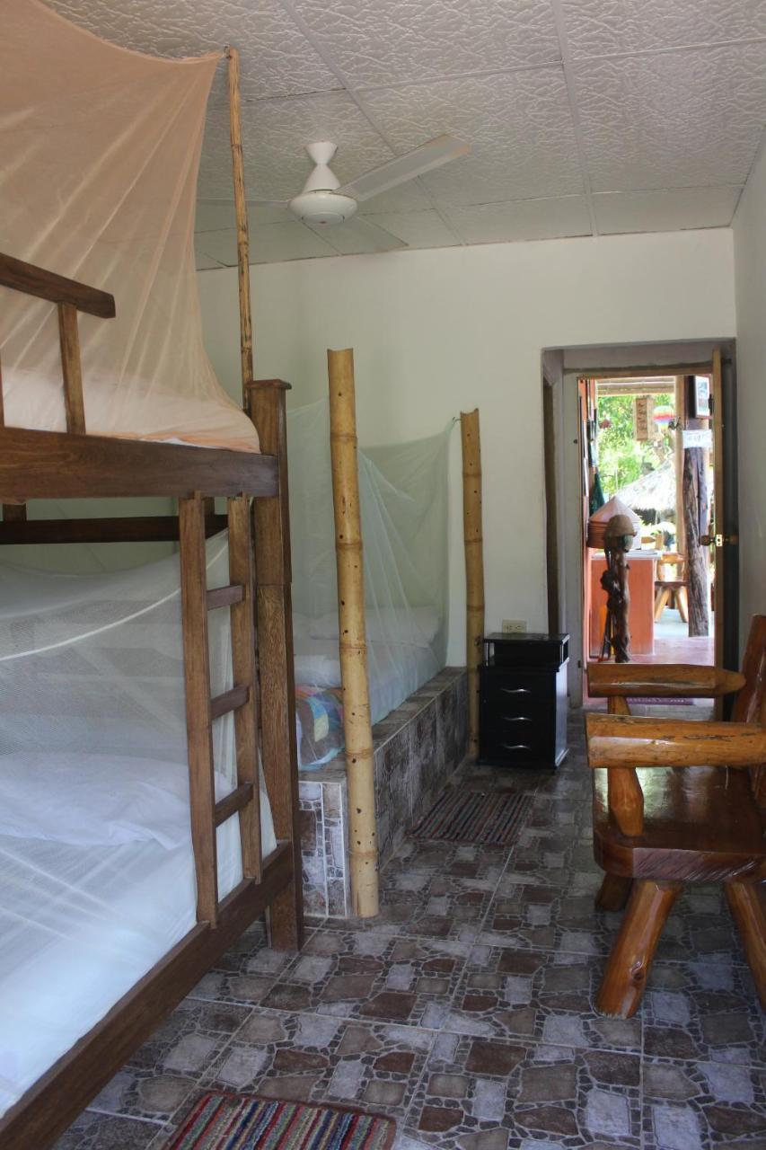 La Natura Hostel & Pool 帕洛米诺 外观 照片